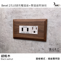 盛元木工 Bevel 實木面板 2孔USB充電插座加單插座附接地-白色 (國際牌開關插座)